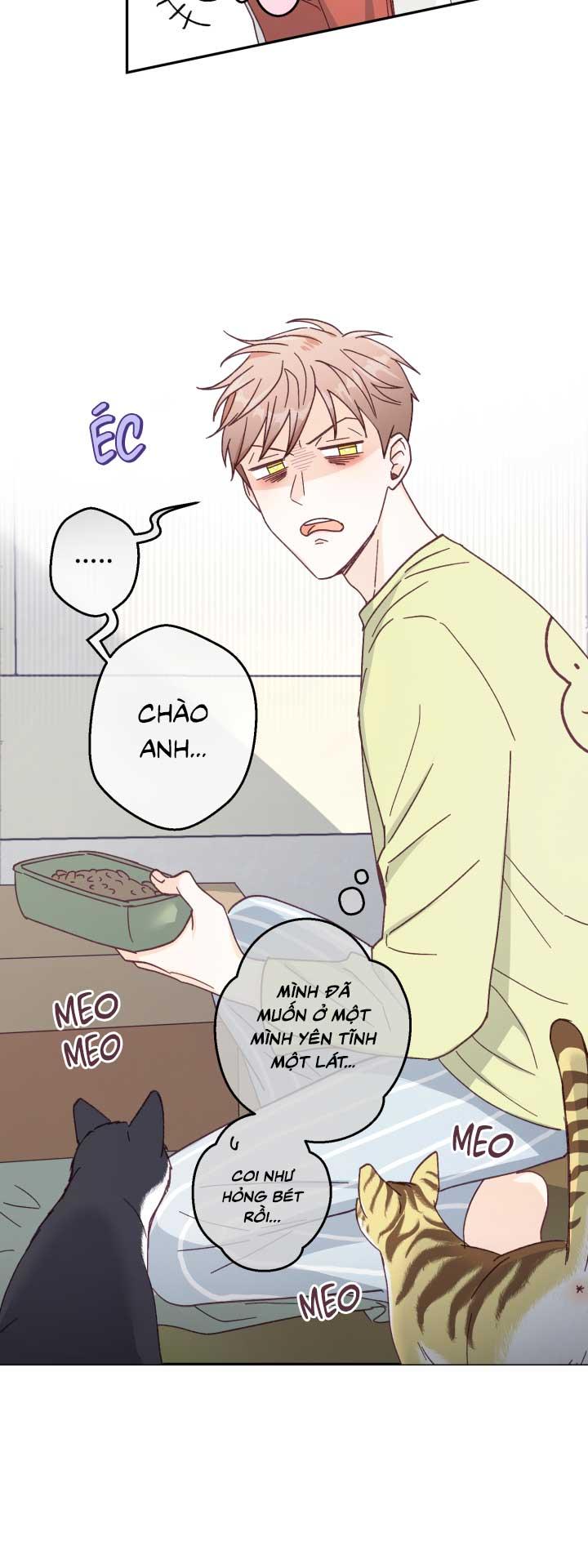 Đọc truyện NGƯỜI HÀNG XÓM QUYẾN RŨ CỦA TÔI - Chapter 3