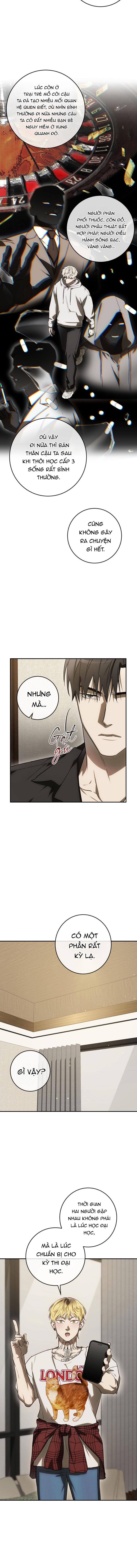 BẢO VẬT -  - Trang 4