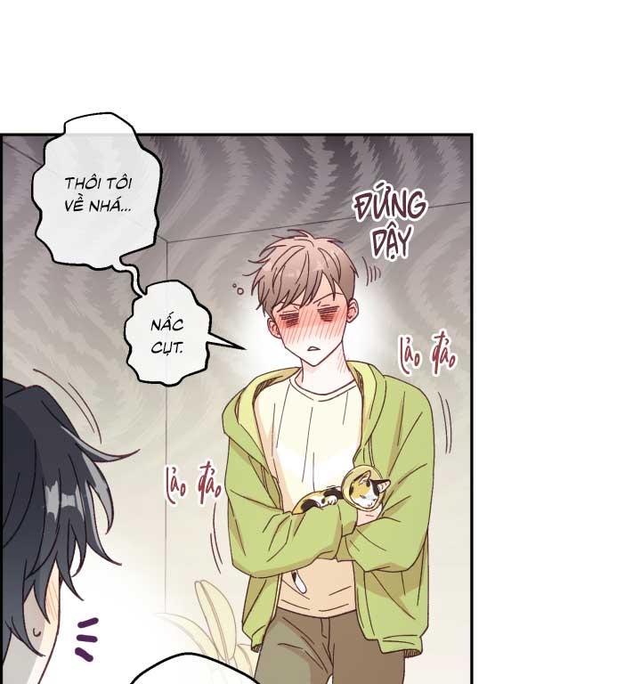 Đọc truyện NGƯỜI HÀNG XÓM QUYẾN RŨ CỦA TÔI - Chapter 3