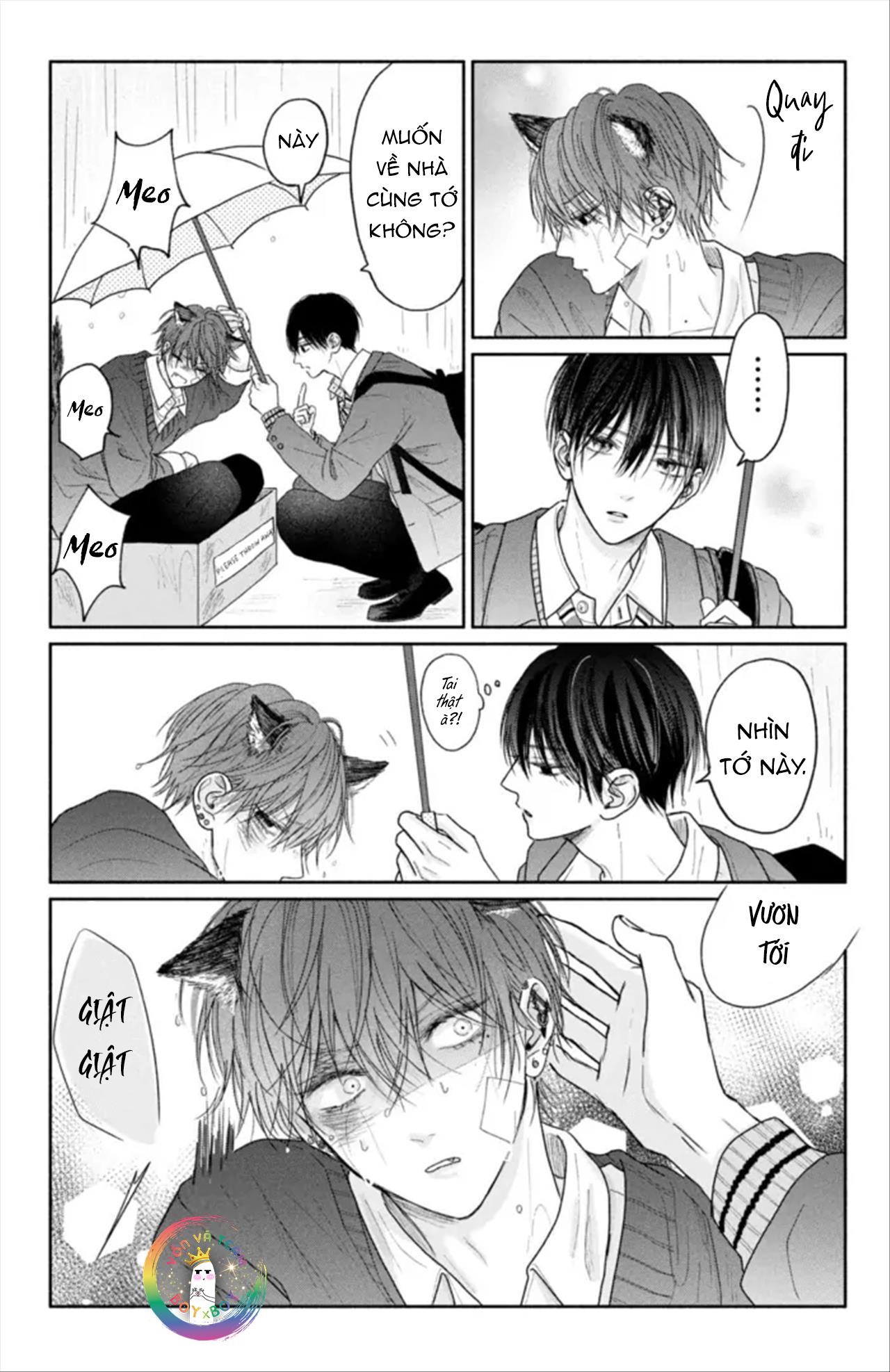 Đọc truyện Tình Yêu Không Thể Giấu - Chapter 4.5