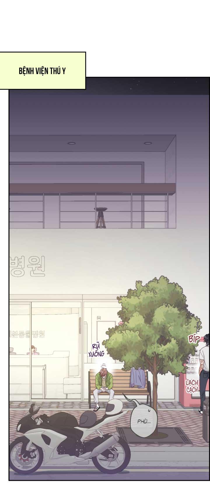 Đọc truyện NGƯỜI HÀNG XÓM QUYẾN RŨ CỦA TÔI - Chapter 3