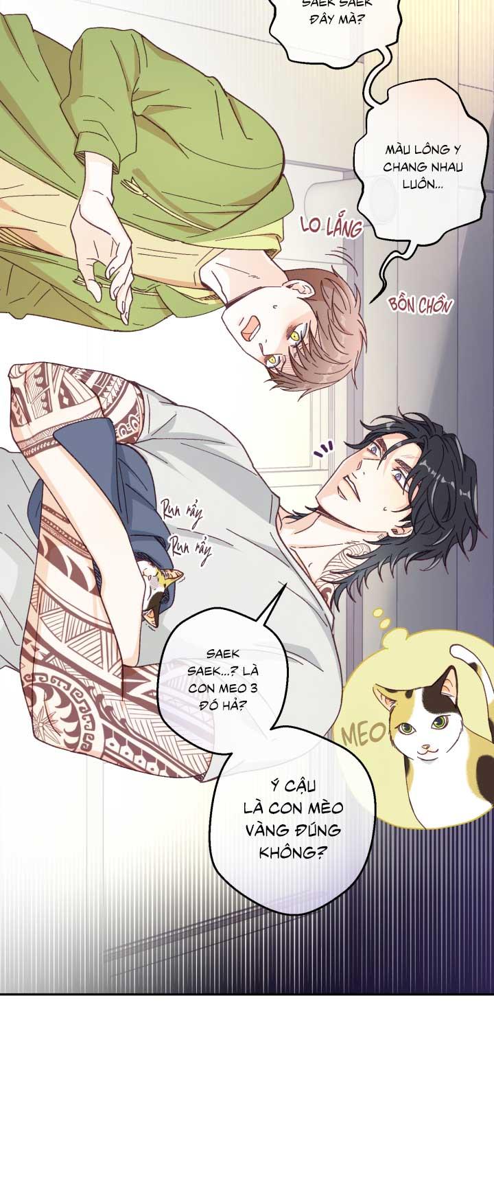 Đọc truyện NGƯỜI HÀNG XÓM QUYẾN RŨ CỦA TÔI - Chapter 3