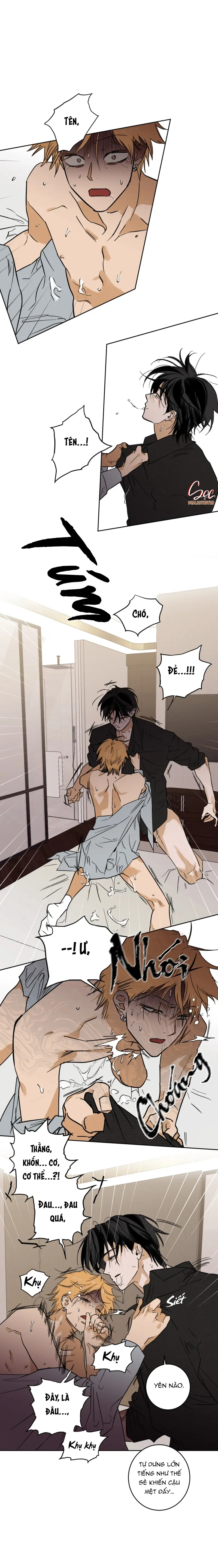 Đọc truyện FULL BOOK - Chapter 12