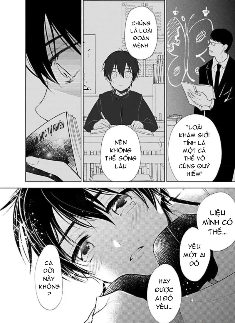 Đọc truyện Vấp Ngã Trước Hồi Kết Của Tình Yêu - Chapter 8