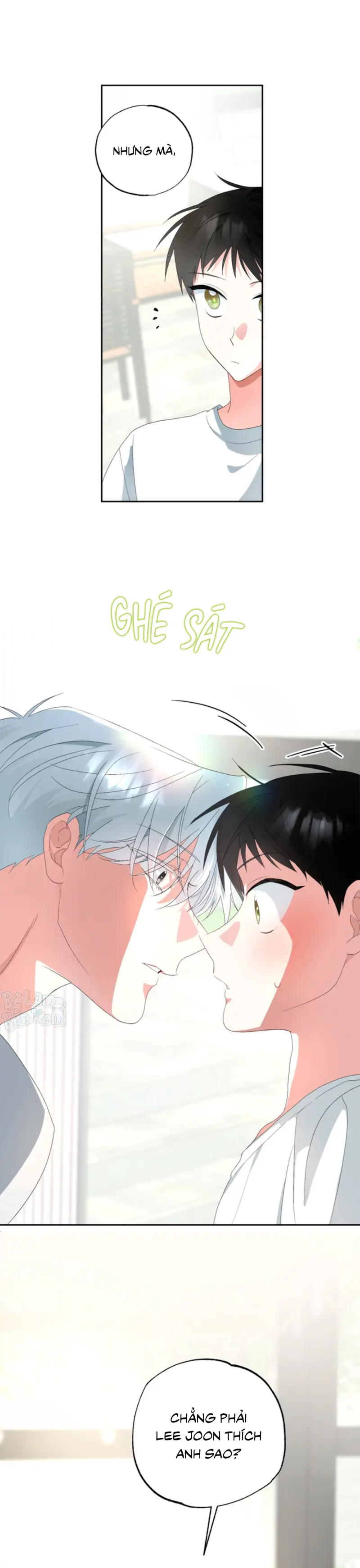 XIN HÃY YÊU THƯƠNG DÙ TÔI LÀ CHUỘT -  - Trang 13