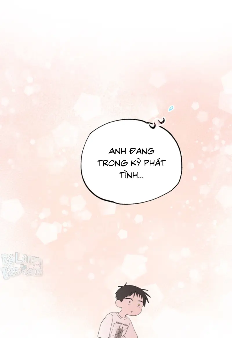 XIN HÃY YÊU THƯƠNG DÙ TÔI LÀ CHUỘT -  - Trang 27