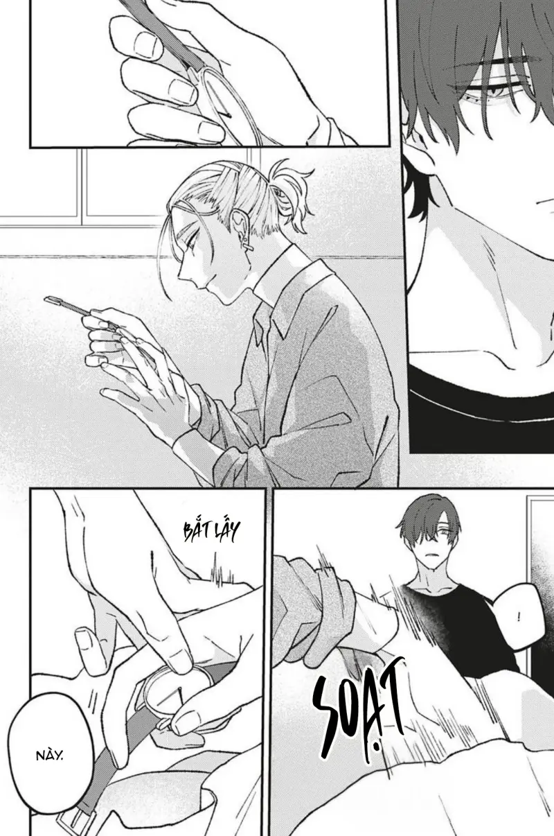 Đọc truyện Vết Cắn Và Ánh Huỳnh Thạch - Chapter 2