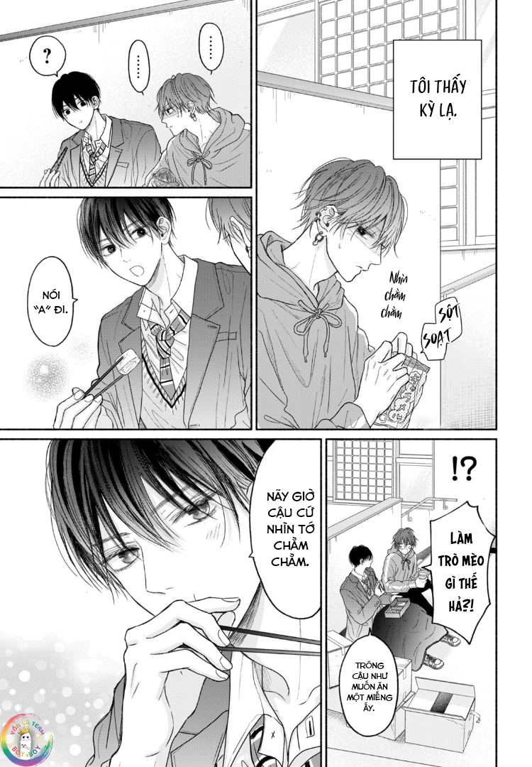 Tình Yêu Không Thể Giấu -  - Trang 5