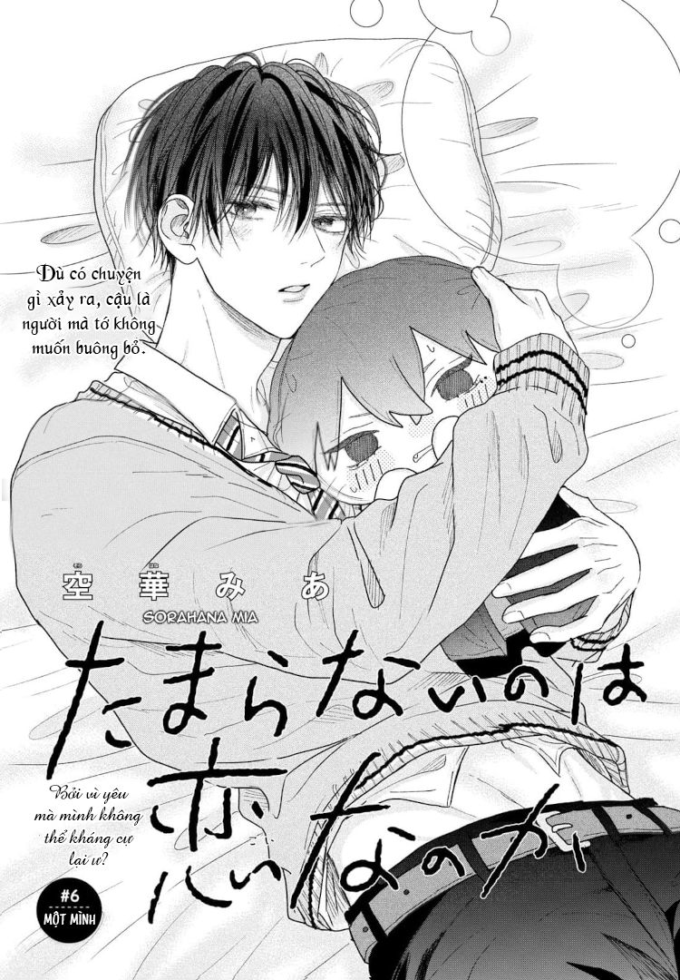 Tình Yêu Không Thể Giấu -  - Trang 2