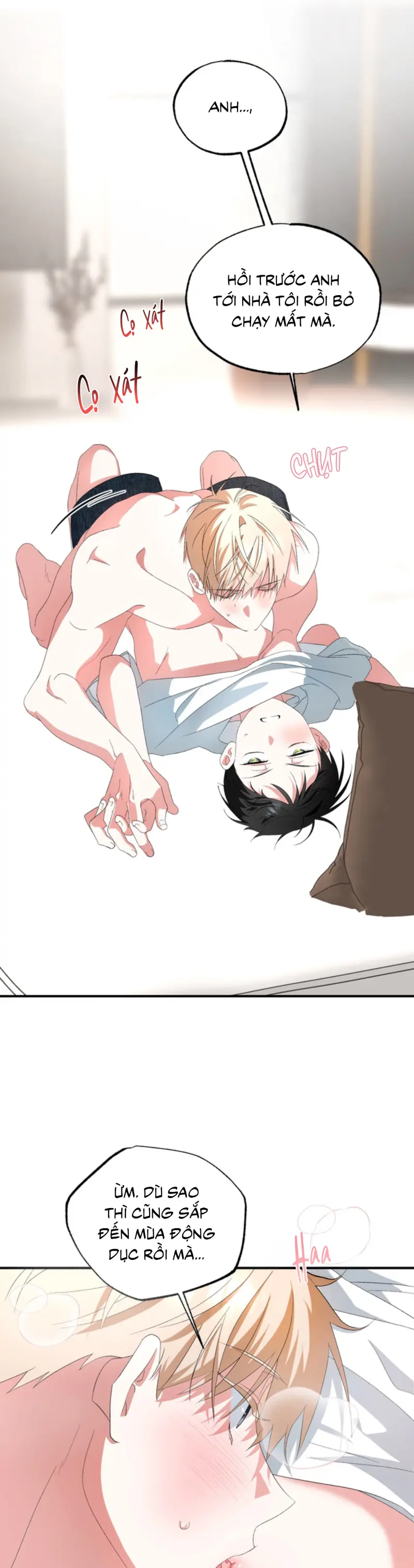 XIN HÃY YÊU THƯƠNG DÙ TÔI LÀ CHUỘT - H++ - Trang 12