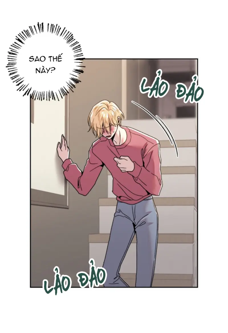 Người Hàng Xóm Bất Ngờ -  - Trang 66