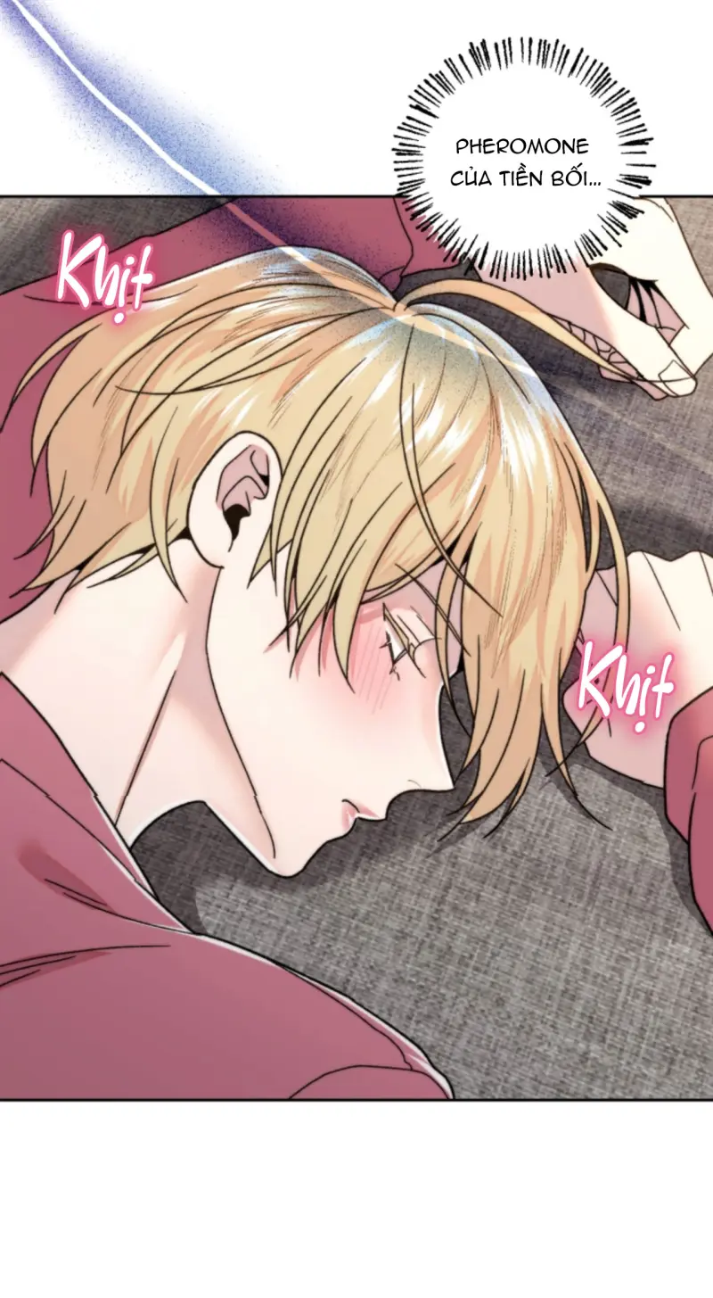 Người Hàng Xóm Bất Ngờ -  - Trang 60