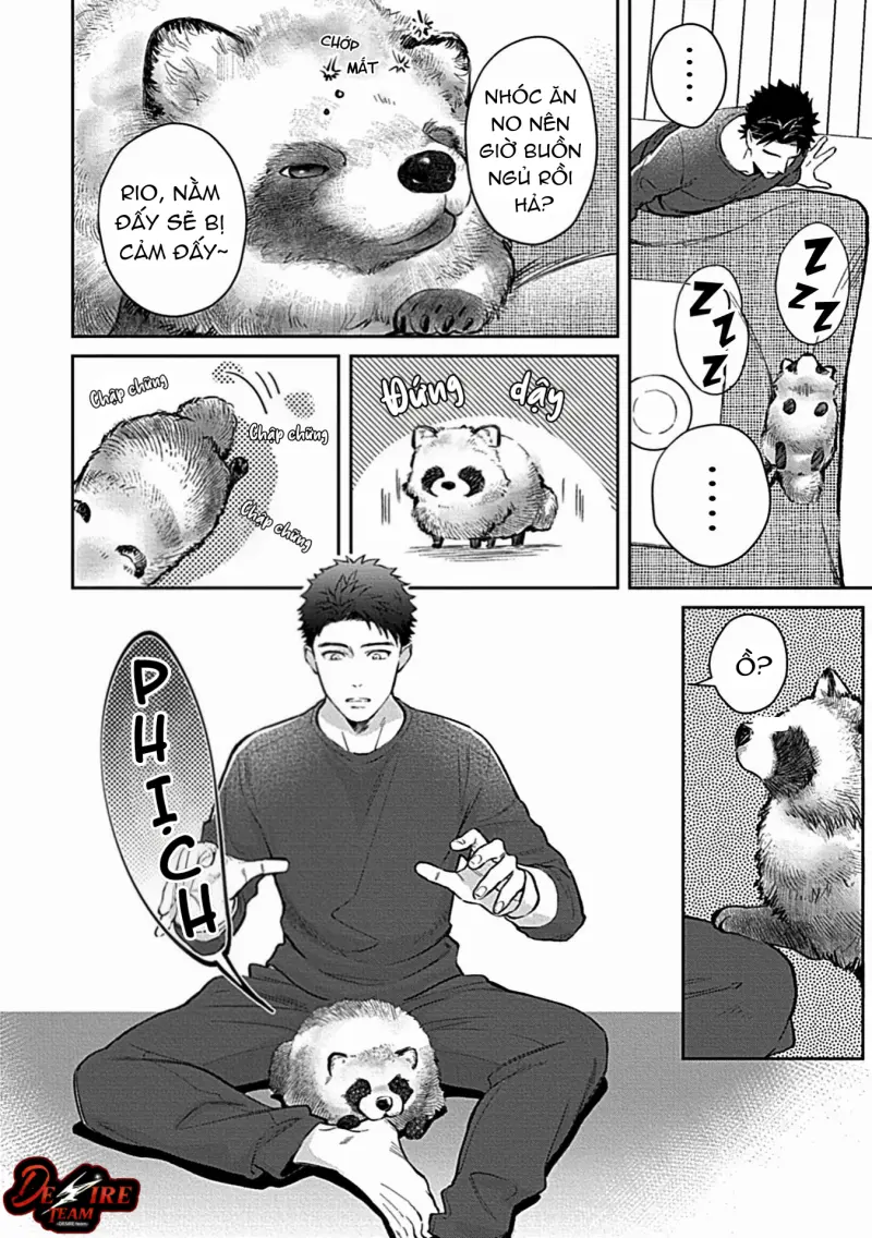Trở Thành Một Gia Đình Cùng Hai Anh Em Tanuki -  - Trang 12