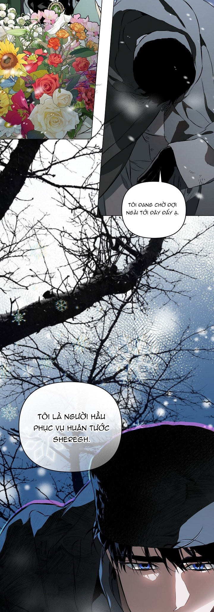 THUẦN PHỤC -  - Trang 27