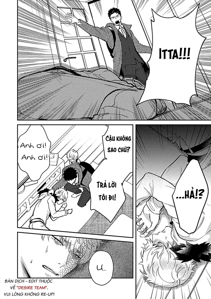 Trở Thành Một Gia Đình Cùng Hai Anh Em Tanuki -  - Trang 26