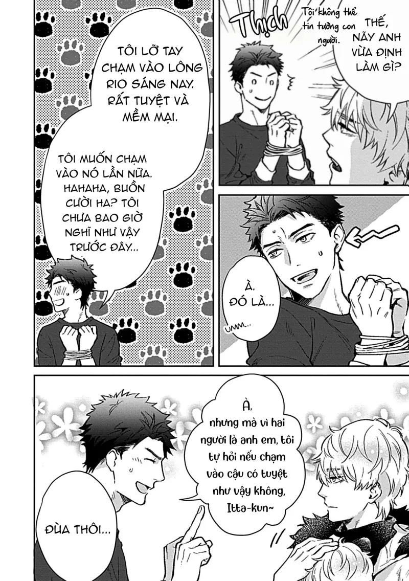 Trở Thành Một Gia Đình Cùng Hai Anh Em Tanuki -  - Trang 16