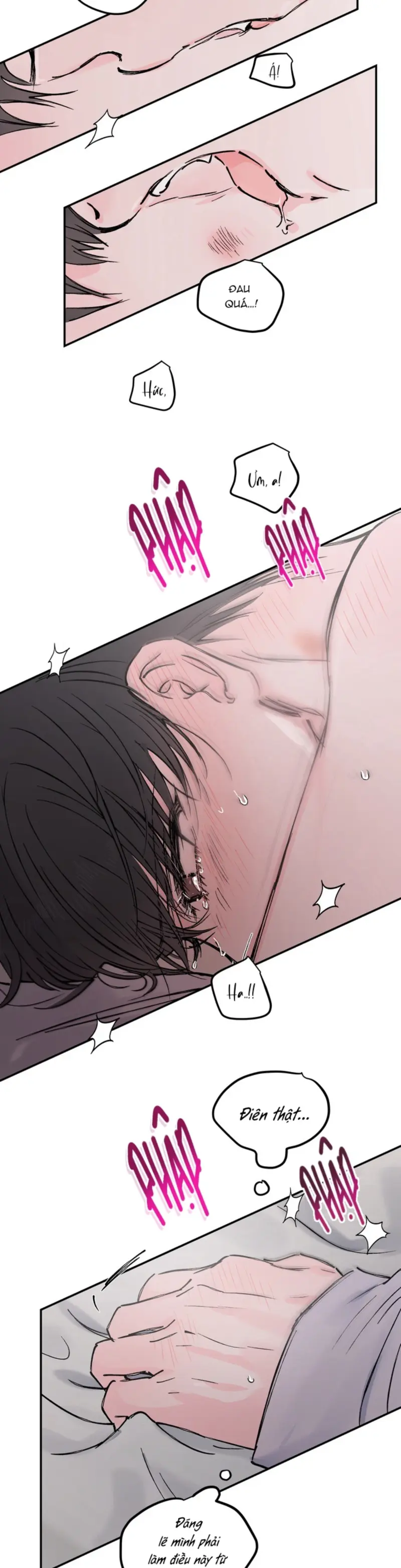 (END) Phù Thủy Tập Sự -  - Trang 13