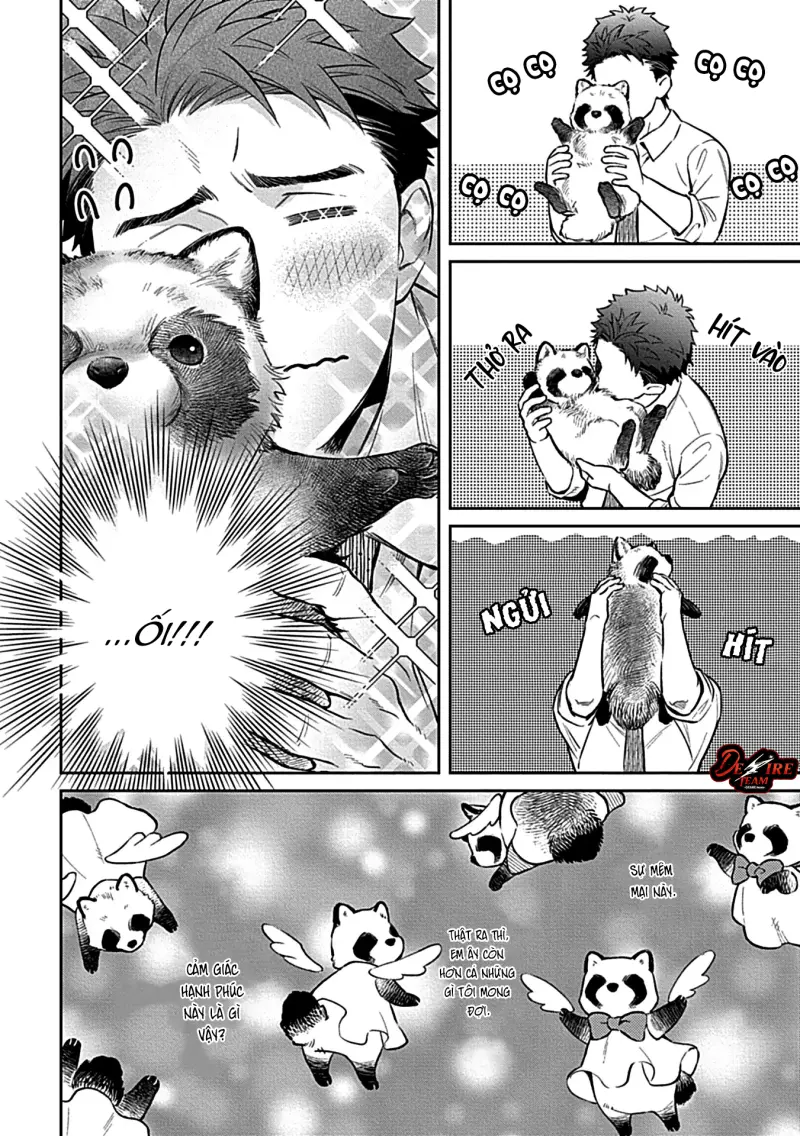 Trở Thành Một Gia Đình Cùng Hai Anh Em Tanuki -  - Trang 11