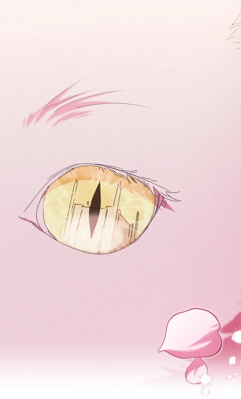 RẮN NUỐT LỰU -  - Trang 72