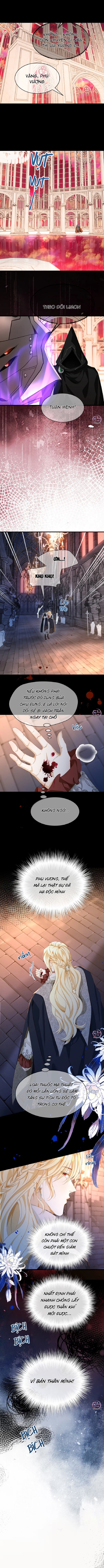 Tôi Tái Sinh Thành Tiểu Ác Long Của Hoàng Tử Điện Hạ -  - Trang 5