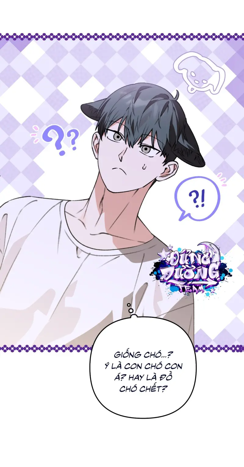 KHÔNG LÀ GÌ CẢ... -  - Trang 31