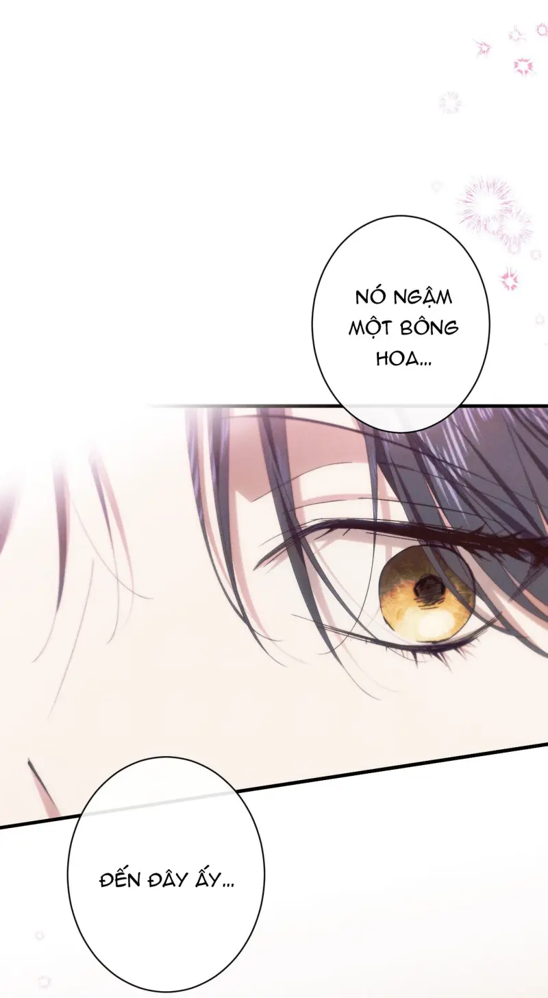 RẮN NUỐT LỰU -  - Trang 68