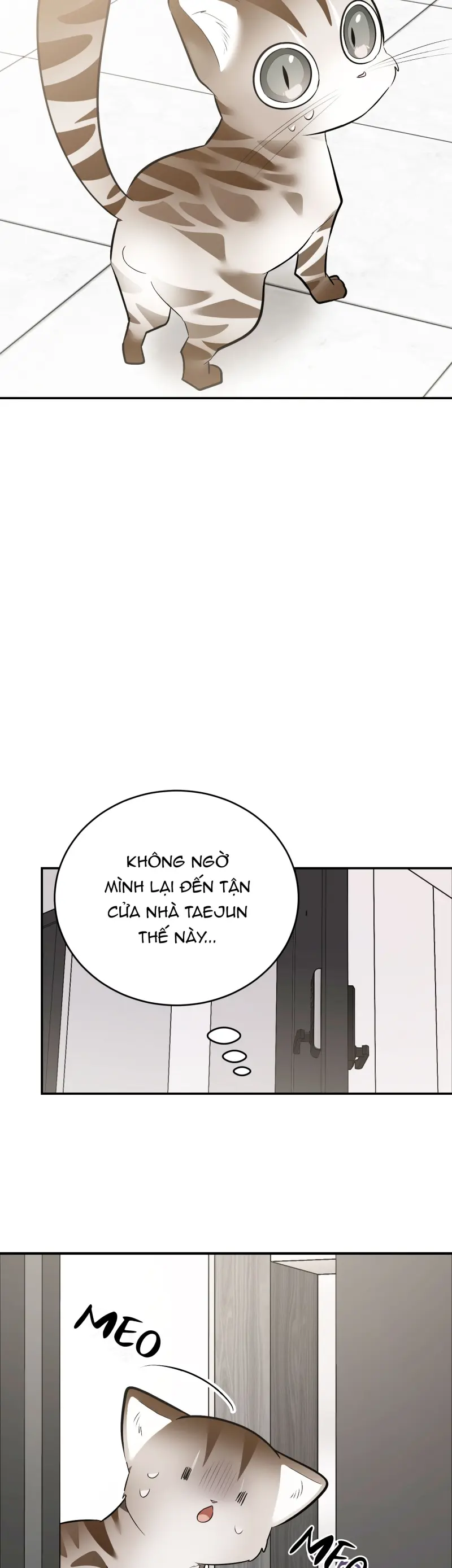 Sinh mèo con cho tôi mau trước khi thằng này điên lên -  - Trang 62