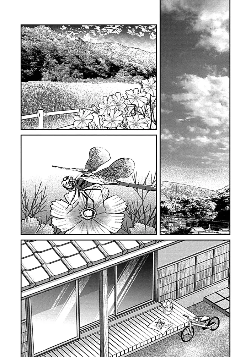 Trở Thành Một Gia Đình Cùng Hai Anh Em Tanuki -  - Trang 29