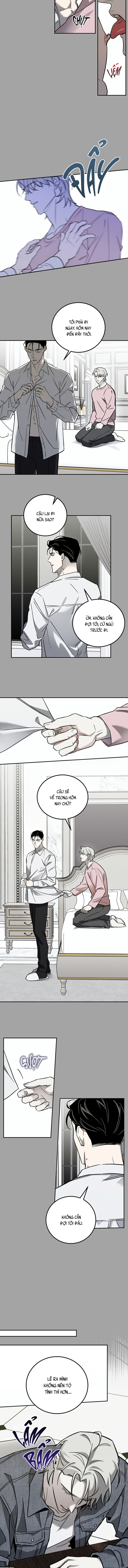 Vampire Homeless -  - Trang 7