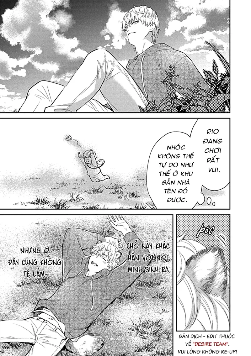 Trở Thành Một Gia Đình Cùng Hai Anh Em Tanuki -  - Trang 12