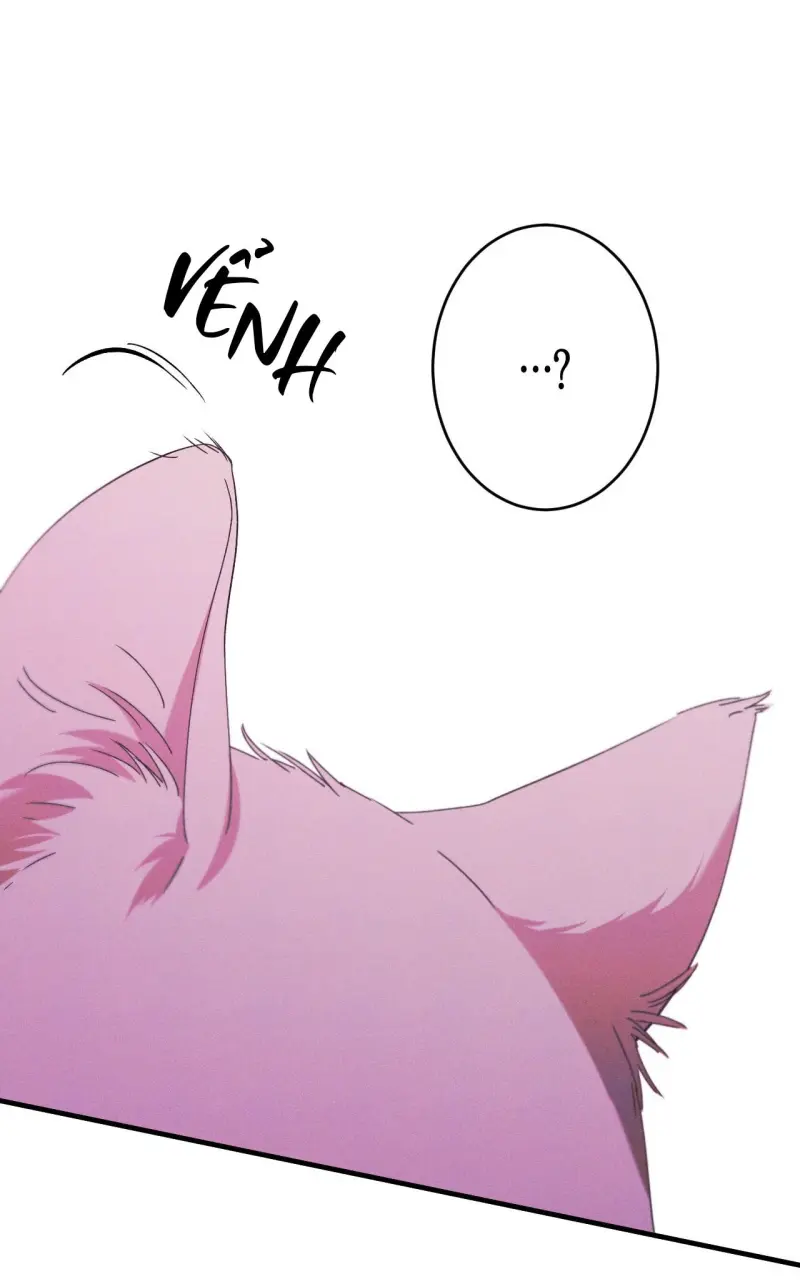 RẮN NUỐT LỰU -  - Trang 53