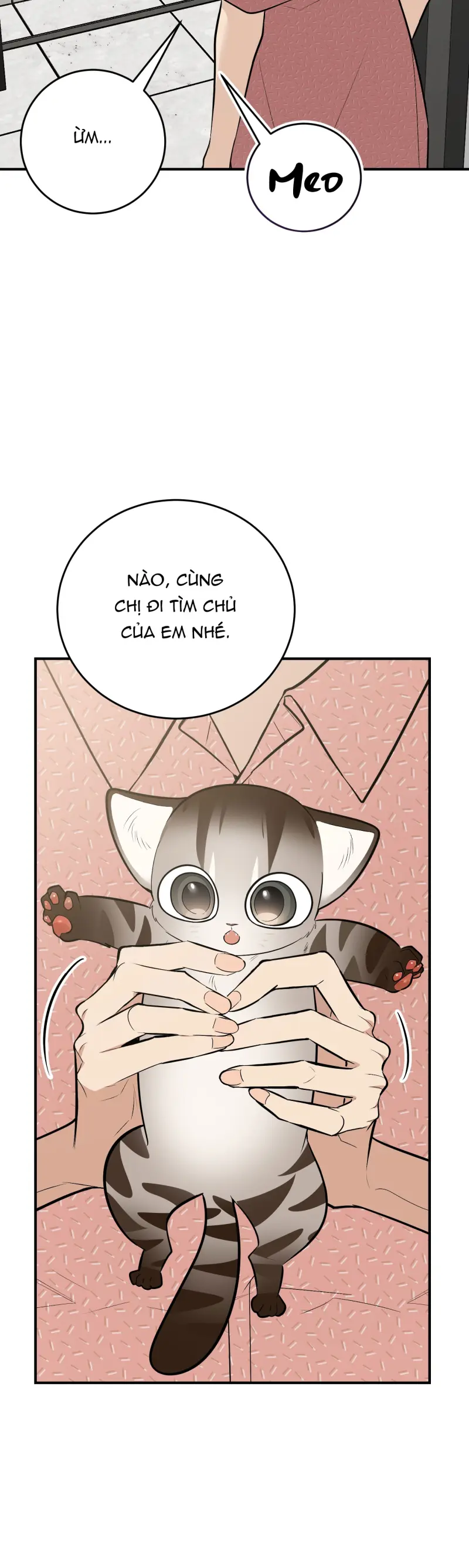 Sinh mèo con cho tôi mau trước khi thằng này điên lên -  - Trang 55