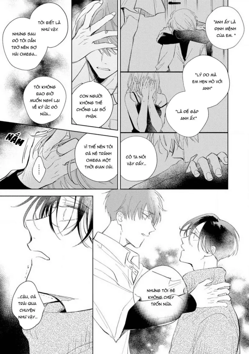 Bạn Đời Của Tôi Là Một Omega Thuần - H++ - Trang 27
