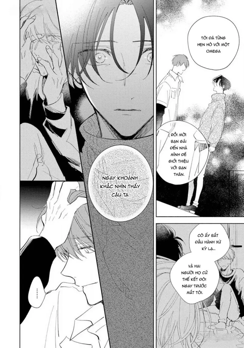 Bạn Đời Của Tôi Là Một Omega Thuần - H++ - Trang 26