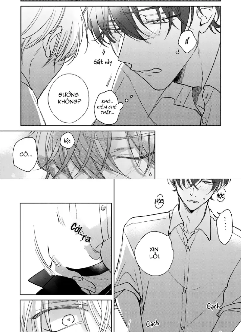 17 Syrups -  - Trang 20