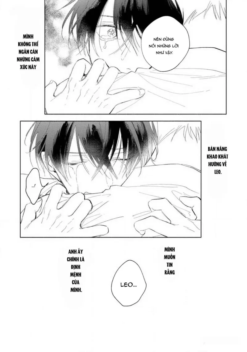 Bạn Đời Của Tôi Là Một Omega Thuần - H++ - Trang 16