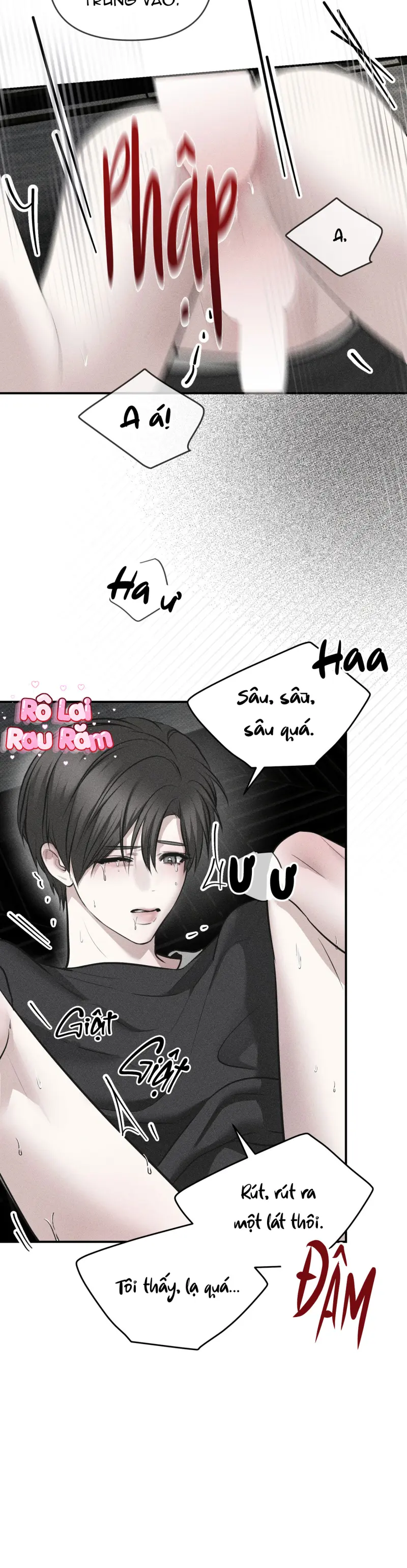  Kẻ đánh cắp con tim -  - Trang 24