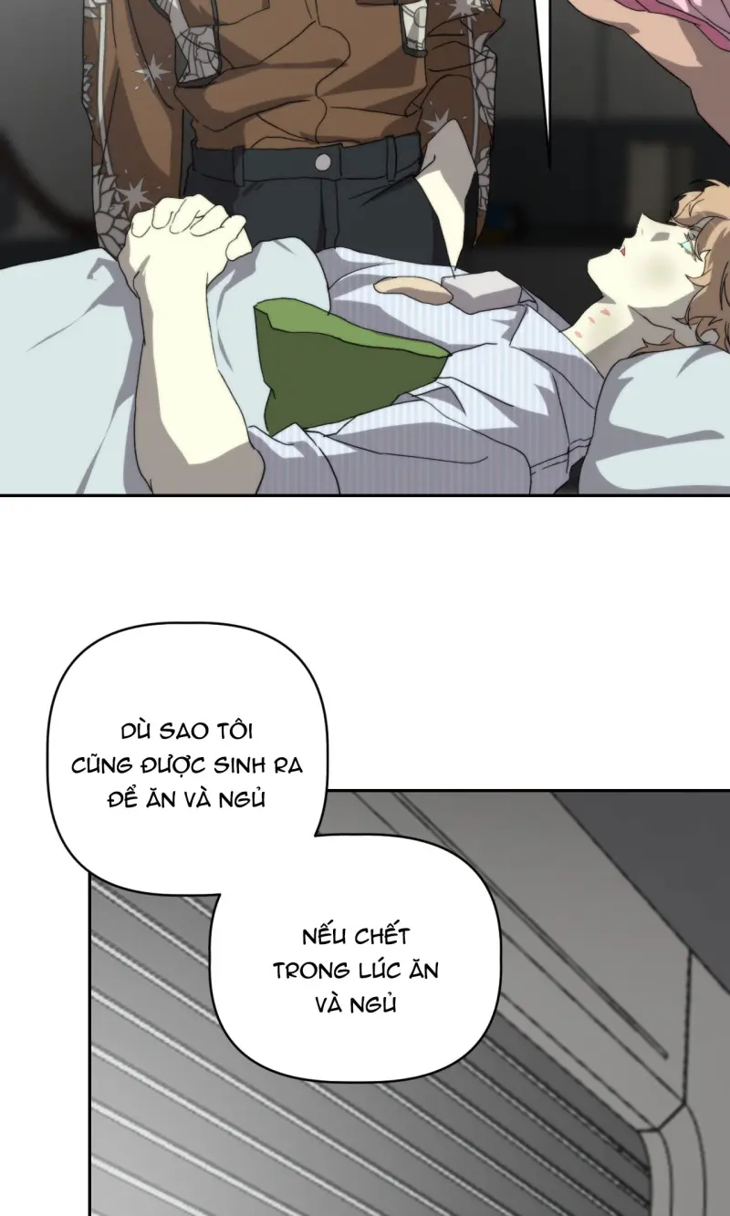 BẠN CÙNG LỚP MẪU GIÁO MẶT TRỜI -  - Trang 50