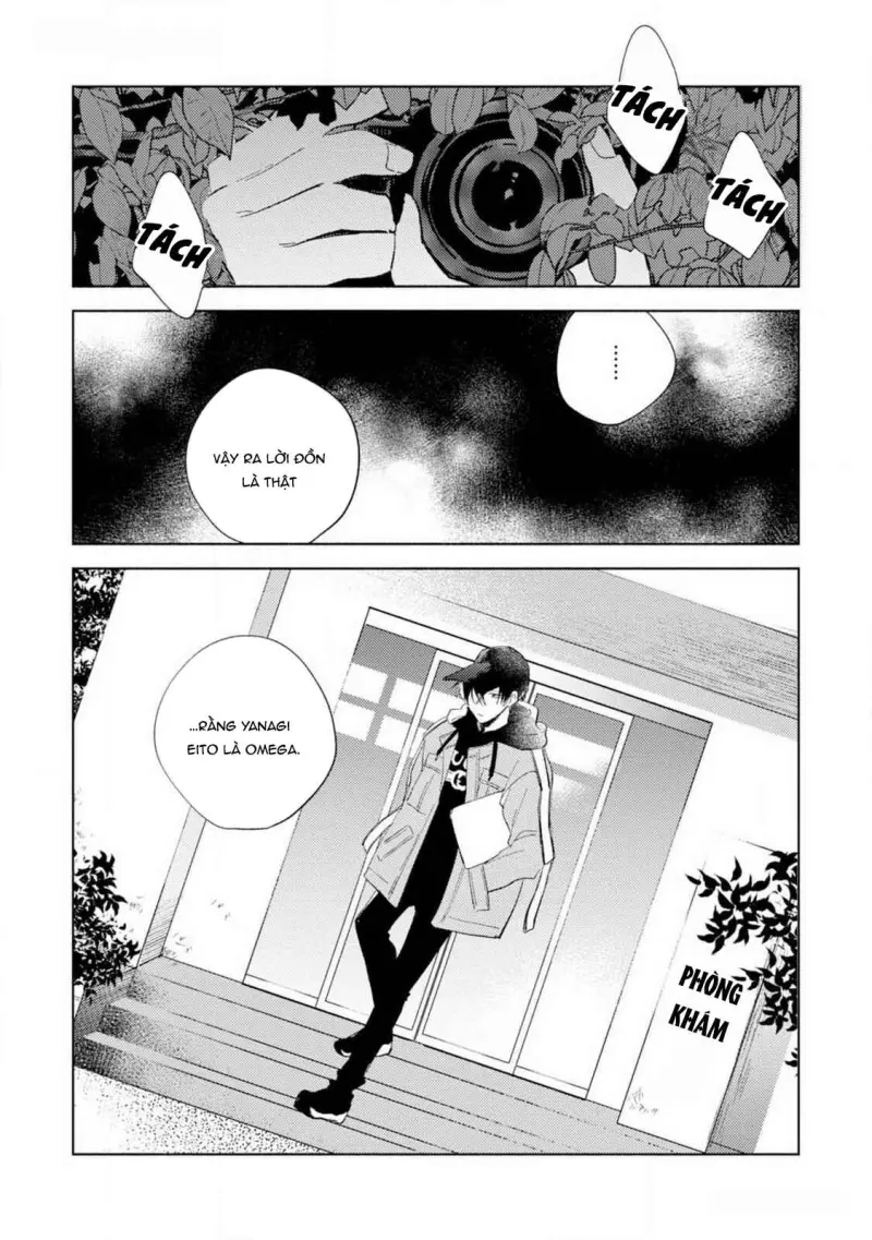 Bạn Đời Của Tôi Là Một Omega Thuần - H++ - Trang 32