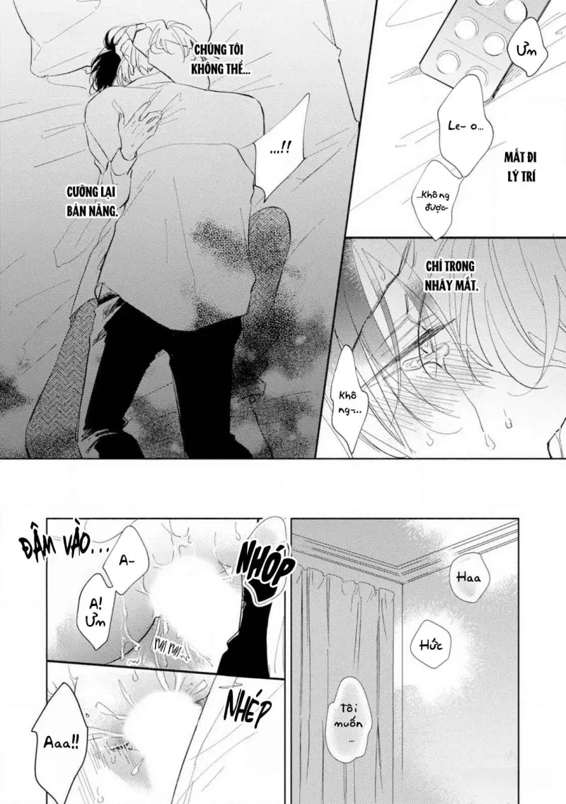 Bạn Đời Của Tôi Là Một Omega Thuần - H++ - Trang 4