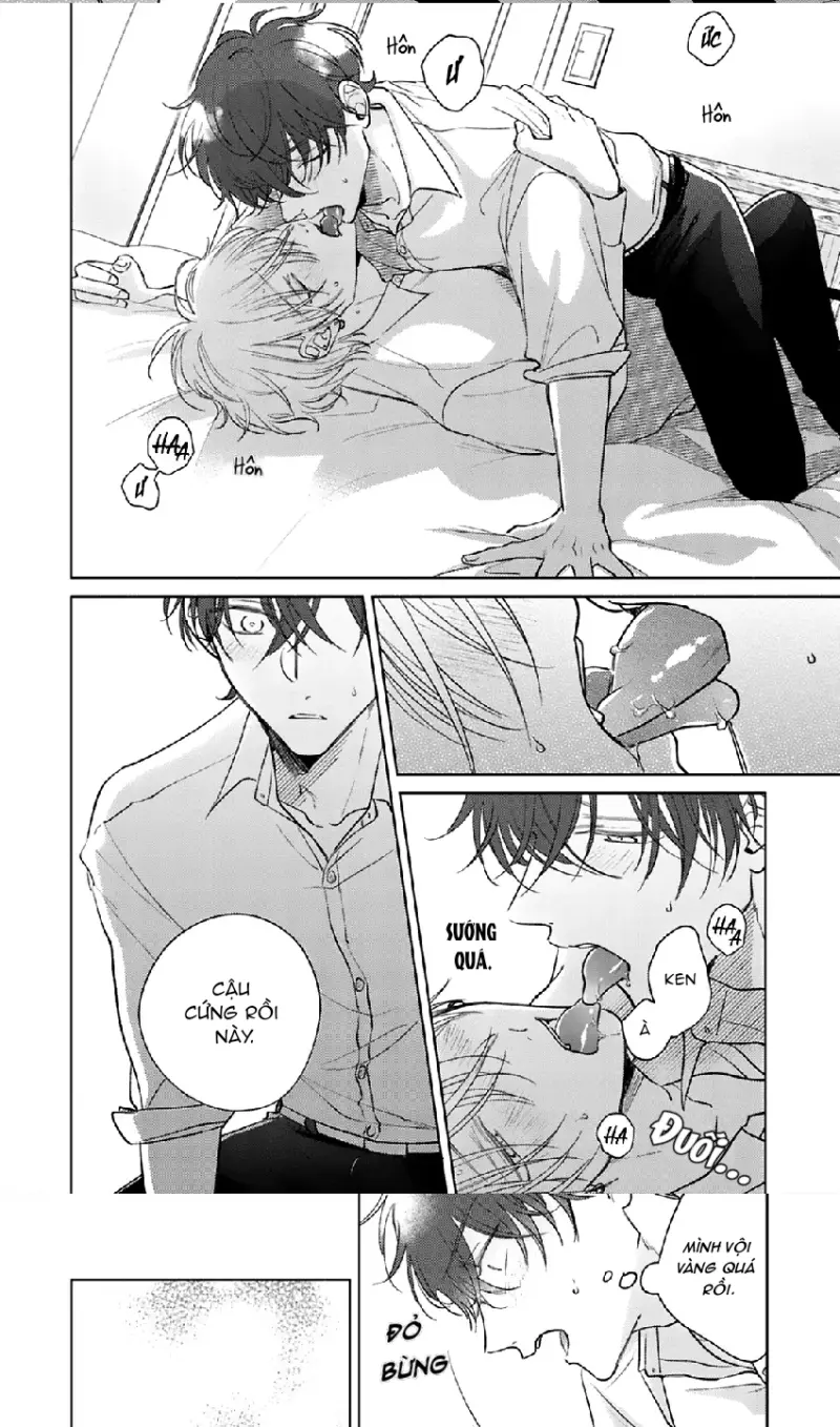 17 Syrups -  - Trang 12