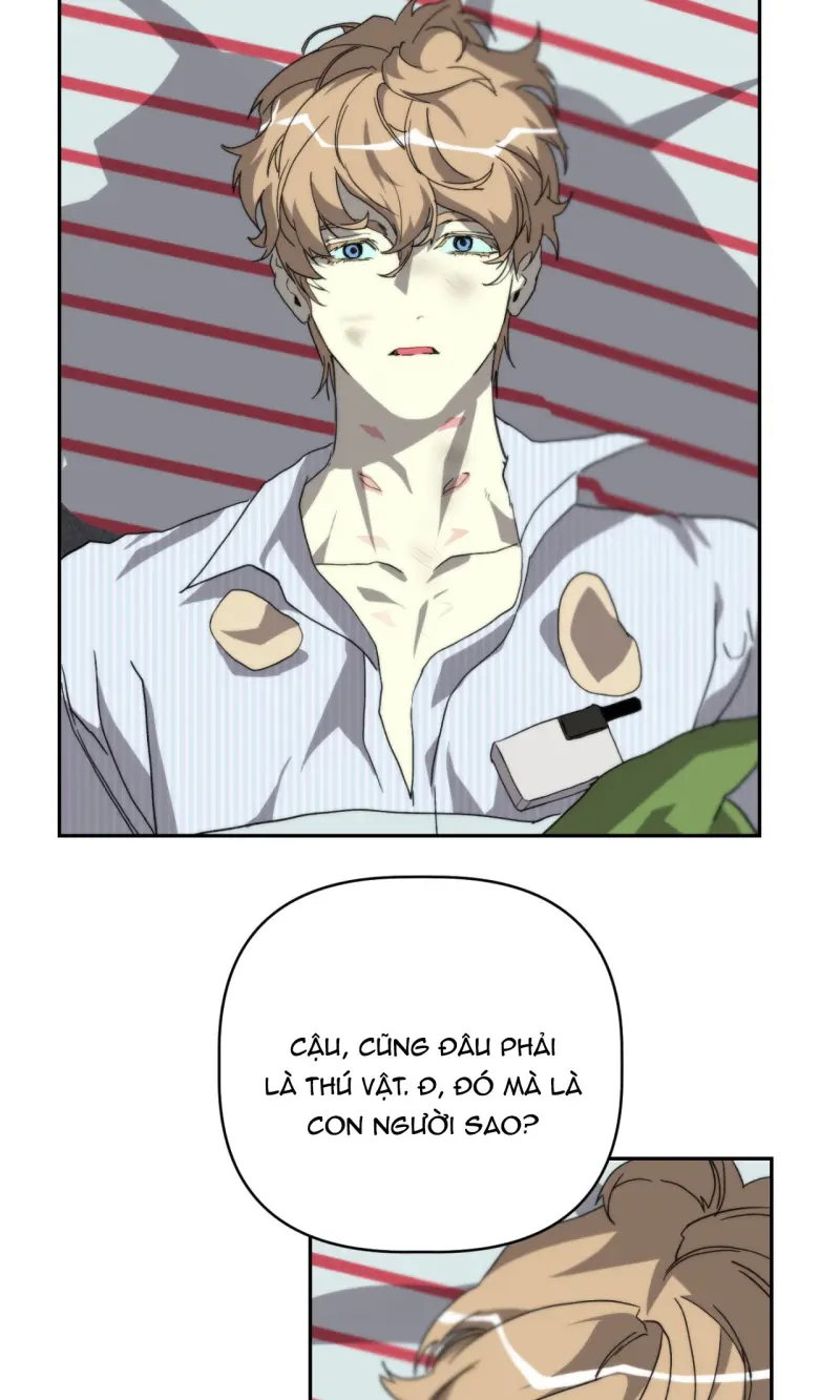 BẠN CÙNG LỚP MẪU GIÁO MẶT TRỜI -  - Trang 52