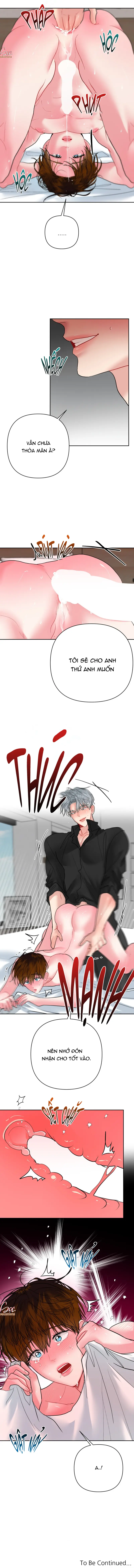 (ABO) Peppermint Candy -  - Trang 8