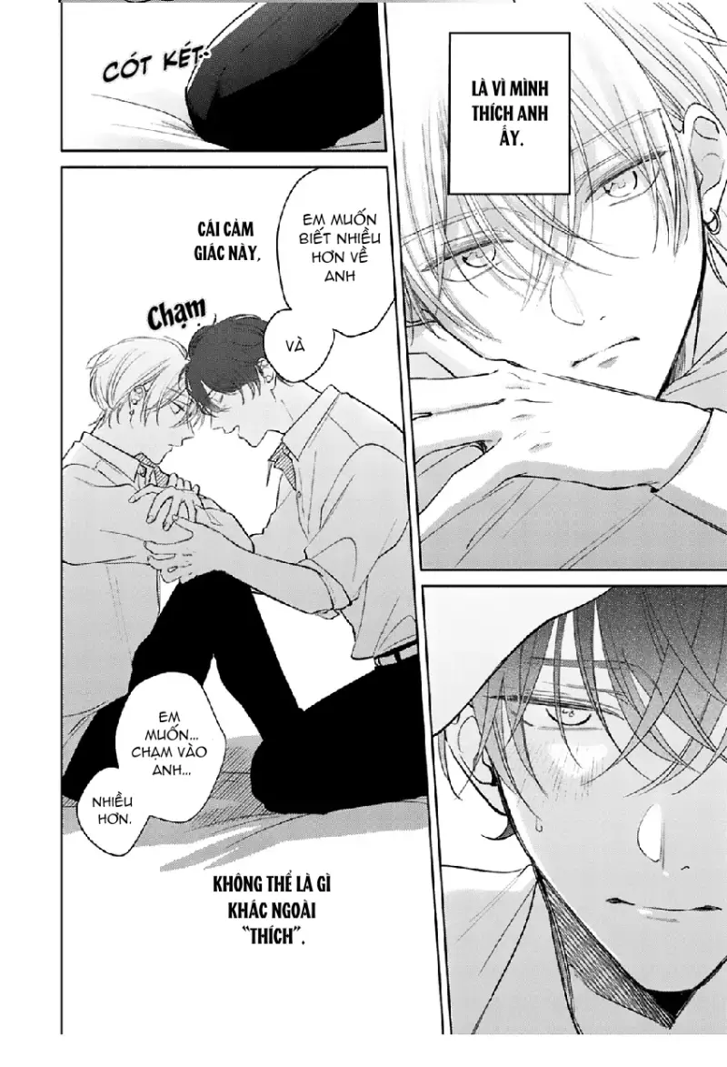 17 Syrups -  - Trang 16