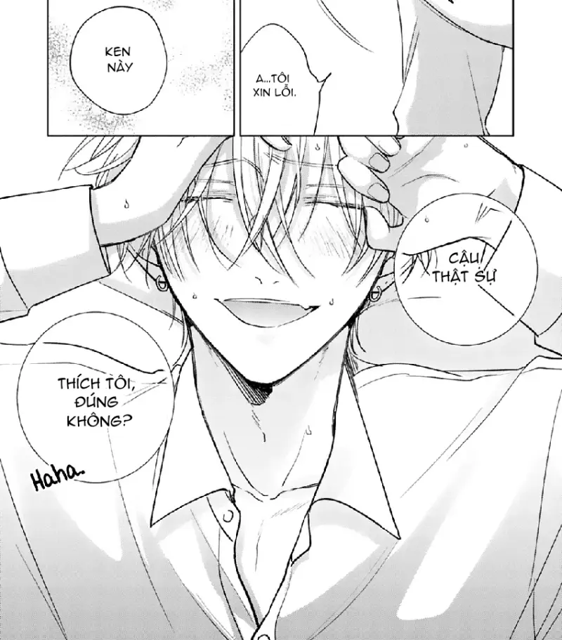 17 Syrups -  - Trang 13