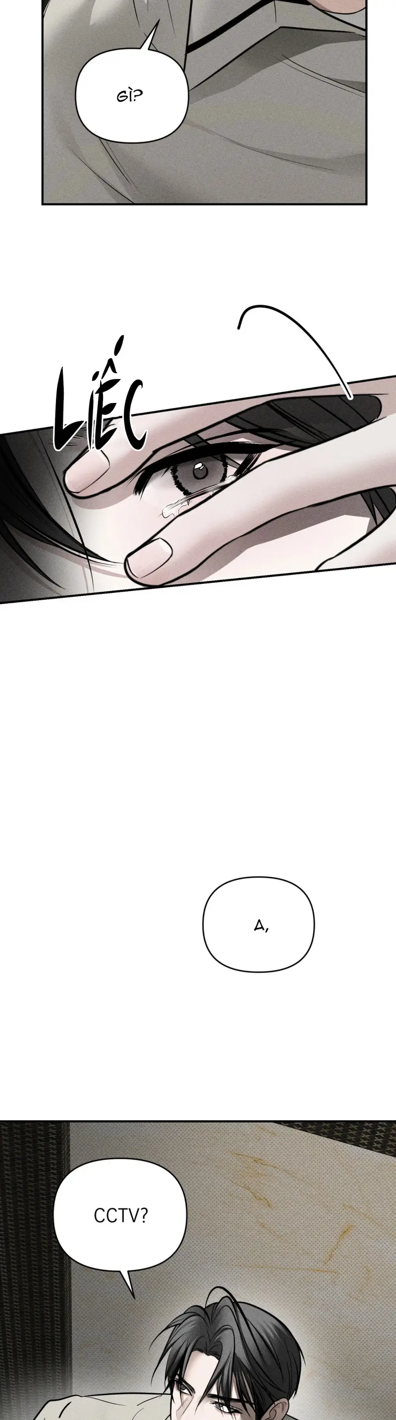  Kẻ đánh cắp con tim -  - Trang 19