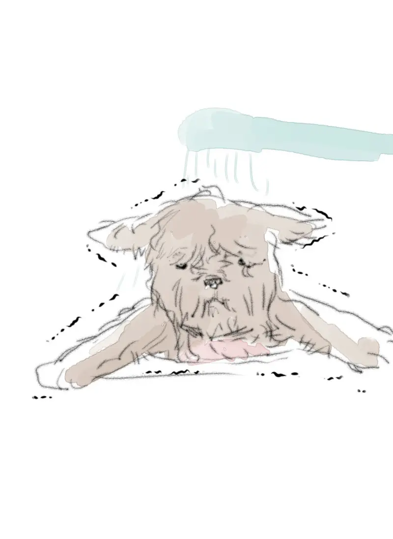 BẠN CÙNG LỚP MẪU GIÁO MẶT TRỜI -  - Trang 95