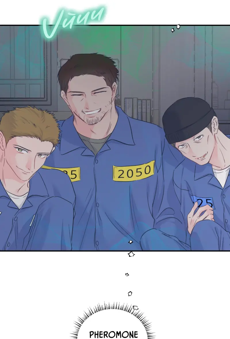 ĐẢO NGƯỢC CỦA ĐẢO NGƯỢC -  - Trang 35