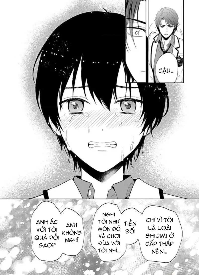 Vấp Ngã Trước Hồi Kết Của Tình Yêu -  - Trang 20