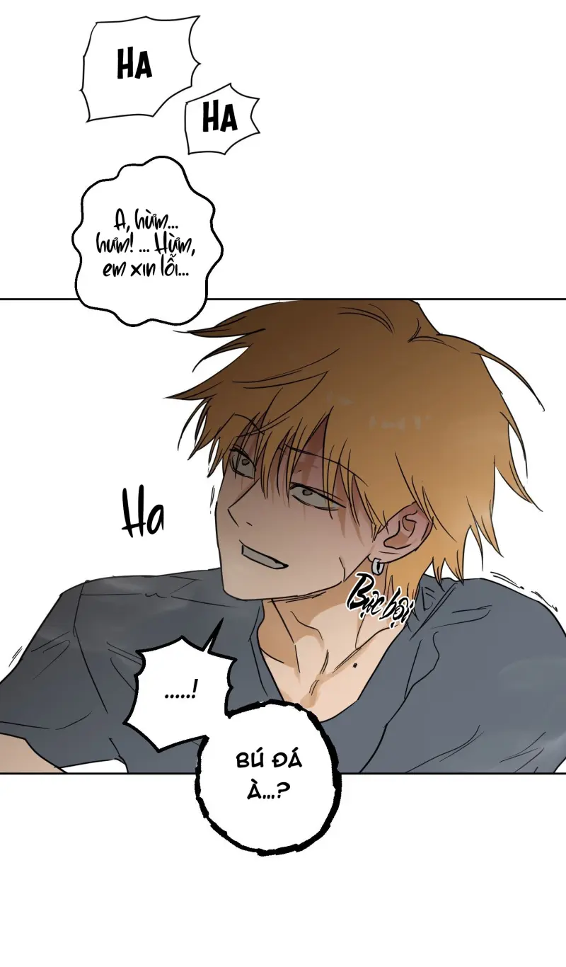 FULL BOOK -  - Trang 58